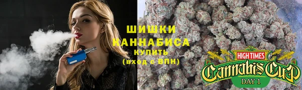 альфа пвп Медвежьегорск